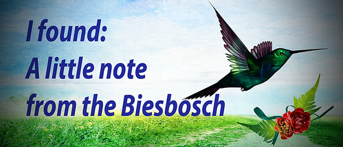 banner a little note from the biesbosch