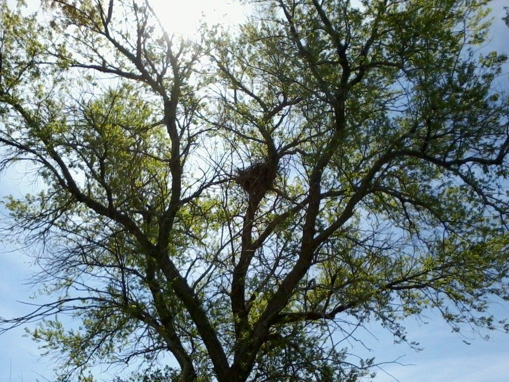  photo E5697A79-611F-4DFA-8BFB-DEB9624E2601_zpst5josvgx.jpg