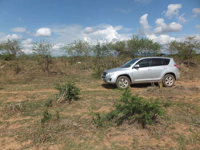 Reaching the cache by car (2019)