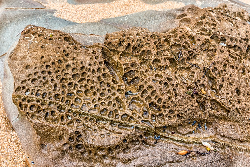 Honeycomb Weathering | When salt water permeates absorbent s… | Flickr