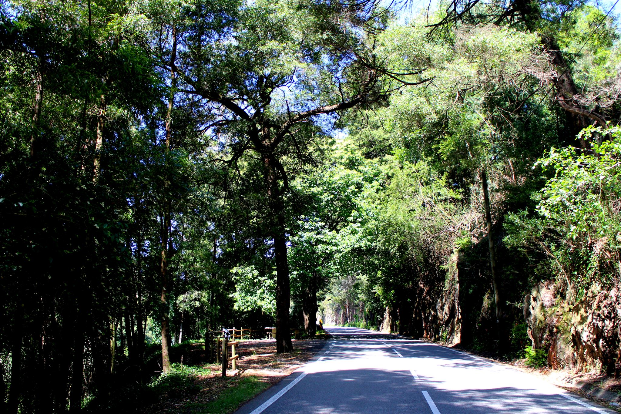 Estrada para Sever do Vouga