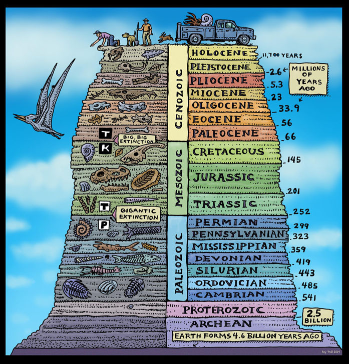 principle of faunal succession