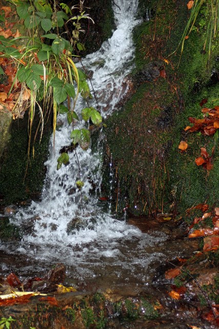 Details im Tal