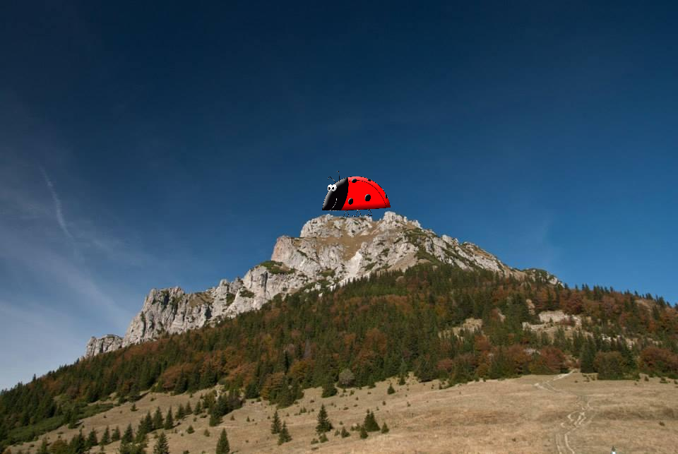 Veľký Rozsutec