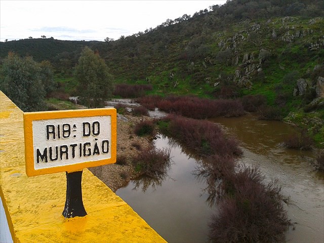 ribeira
