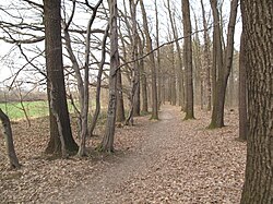 Čimický háj (3).jpg