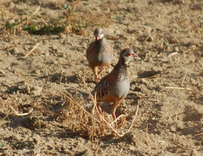 AQUI COLOCA O NOME DA FOTO