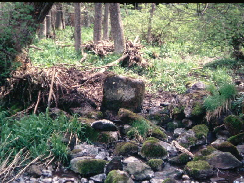 Dreiherrenstein 1986