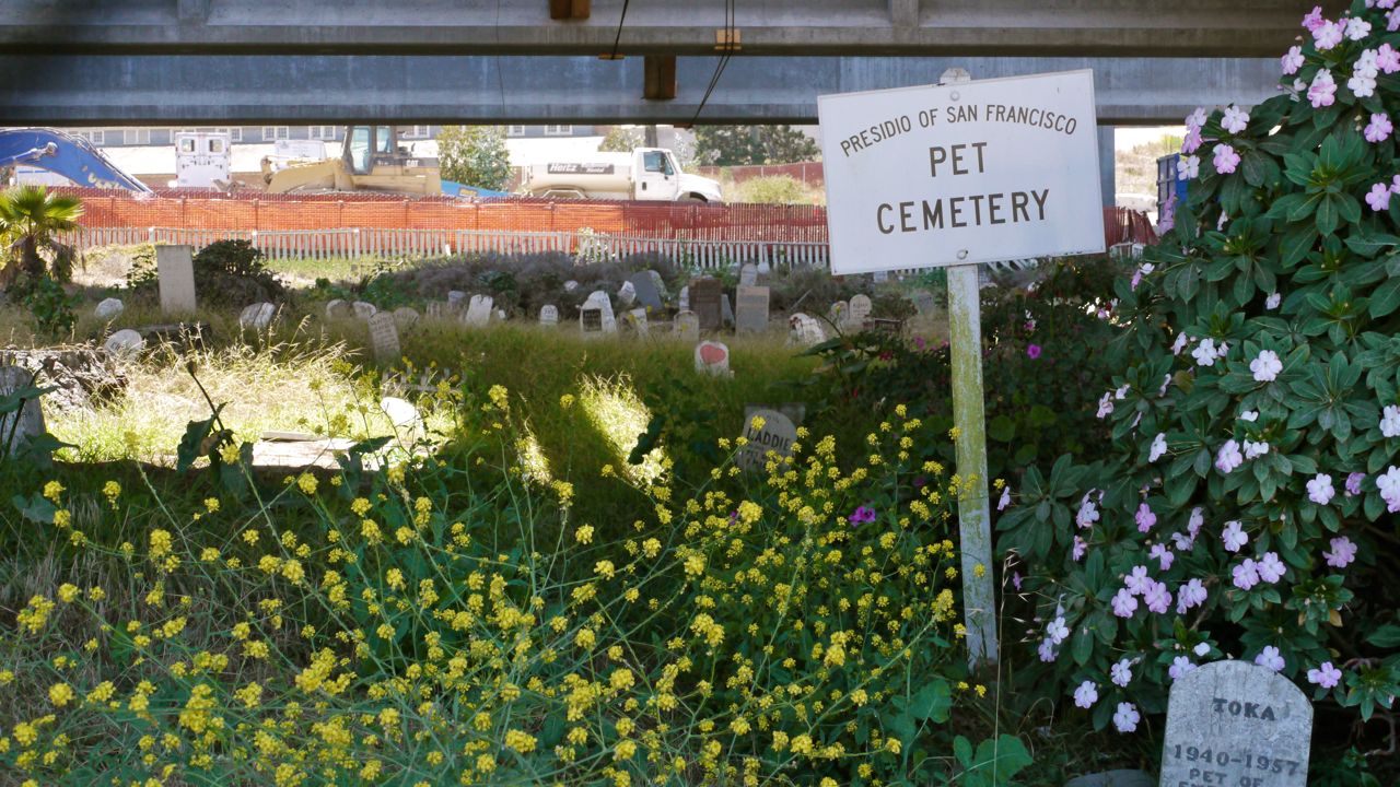 Presidio Pet Cemetery