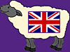 Sheep English