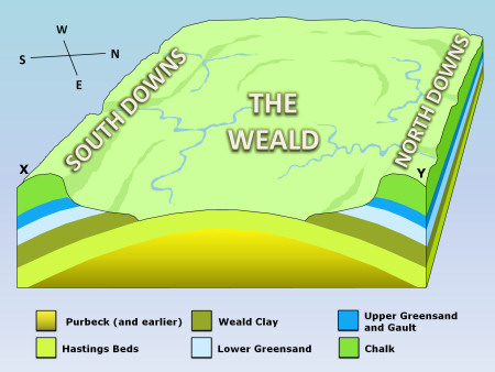 Geology of the Weald