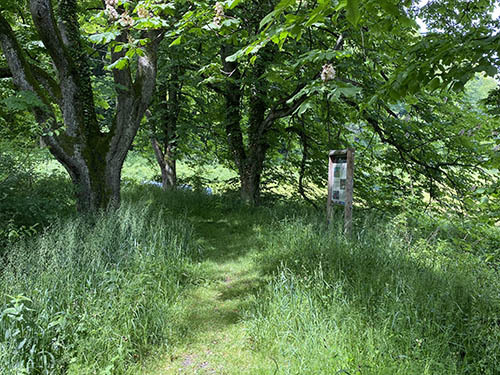 [ Abbildung: Stage 2, Hege und Pflege ]