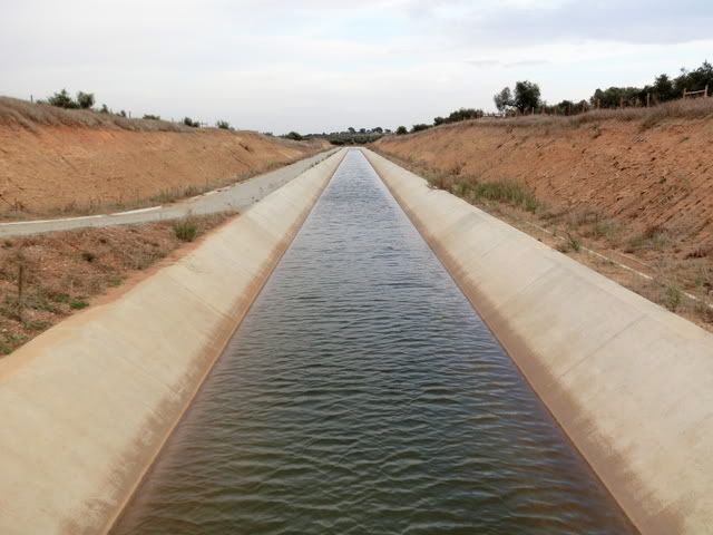 O tal canal!1