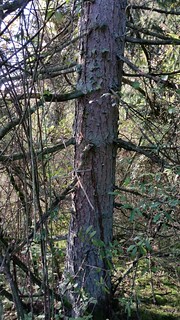 20141002_095947