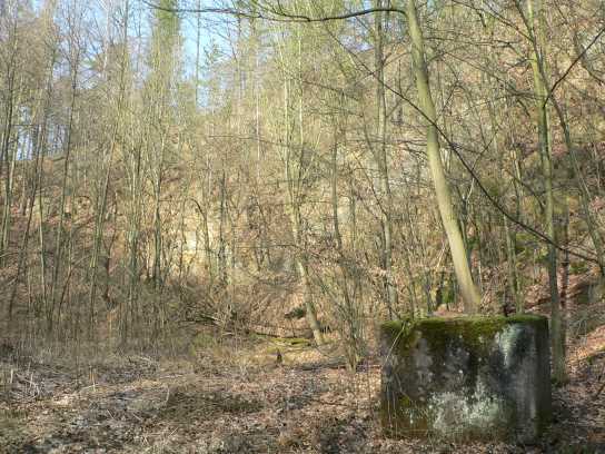 Steinbruch am Wettinplatz
