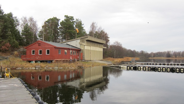 Klubbhuset og hangaren