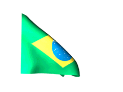 Flag Brazil animated gif 240x180
