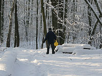 Trying to walk trough the snow