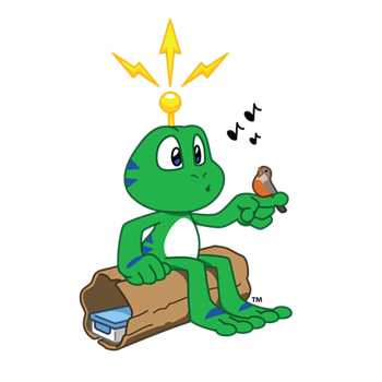 Signal e os Passarinhos