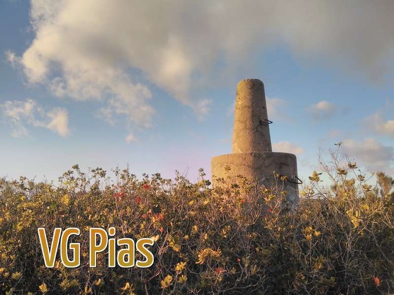 VG Pias