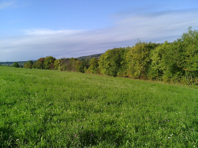 Aussicht vom Fahrradweg