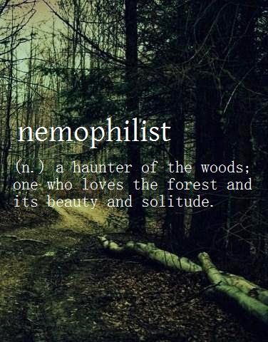Nemophilist | Aesthetic words, Word definitions, Words