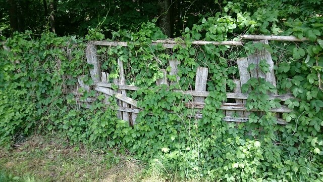 neverending fence