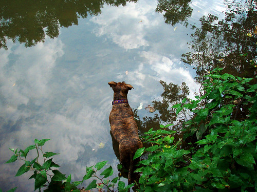 The Big Peanut in the Sky by you.