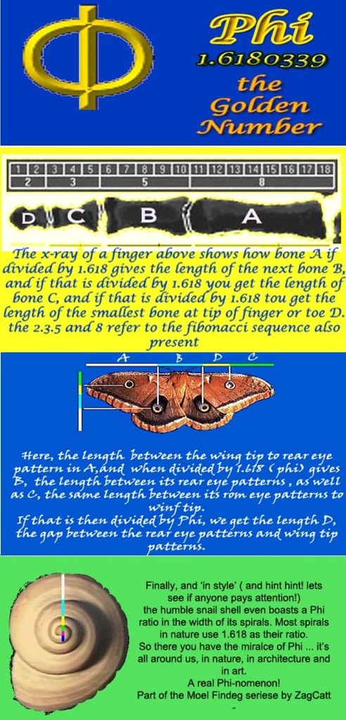 phi cache page final 0203010