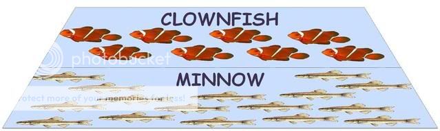 Clownfish