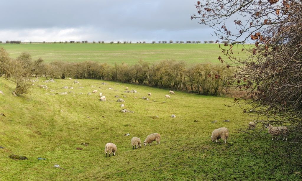 Piggle Dene from the entrance