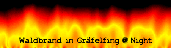 Waldbrand in Gräfelfing @ Night