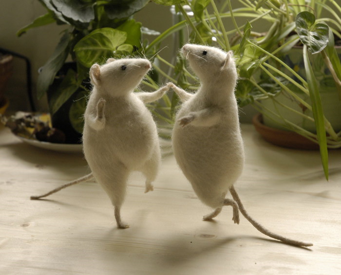 Dansande råttor