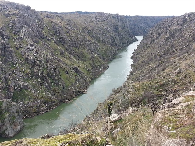 Douro1