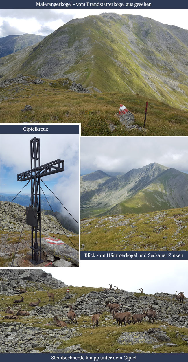 GC7AQ8J Austrian Summits - Maierangerkogel 2356m (Traditional Cache) in