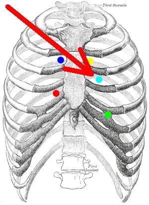 Erbův bod Erbův bod