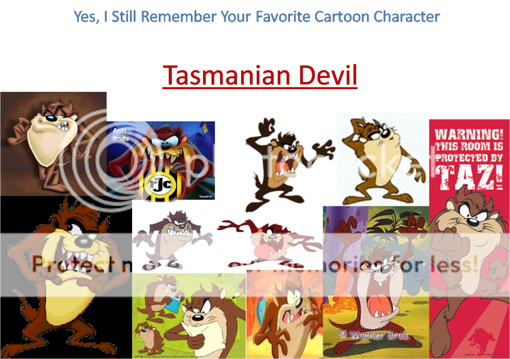Tasmanian Devil Pictures, Images and Photos