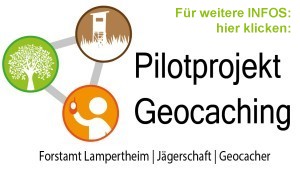 Pilotprojekt