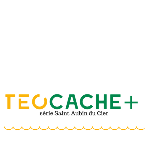 TeoCache+