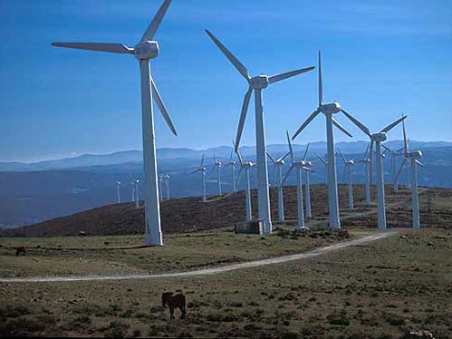 O Parque Eólico do Pinhal Interior vai produzir 335 gigawatts/hora