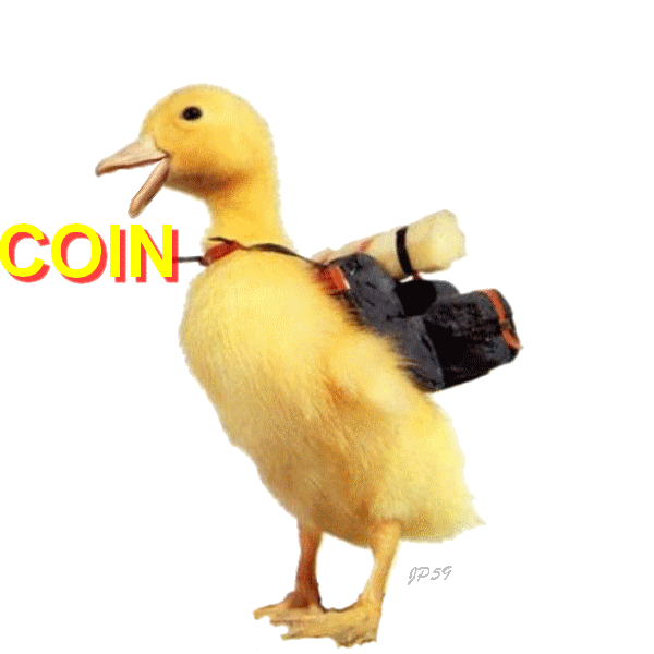 Tb6qnav 7 Deadly Ducks Accro Le 8eme Peche Capital Tb6qnav 7 Deadly Ducks Accro Le 8eme Peche Capital