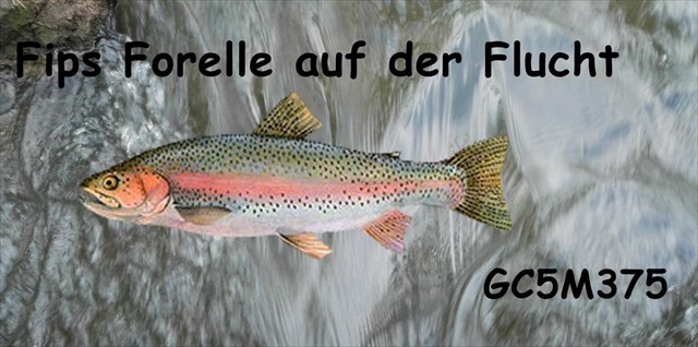 Fips Forelle auf der Flucht