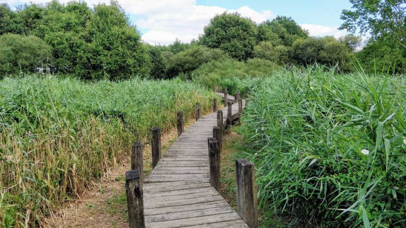 Le rocher du ponton - en bas